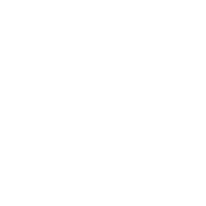 Logo Multisport Agency